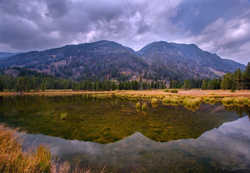 Exploring the Madison River for Fly Fishing outdoor detail