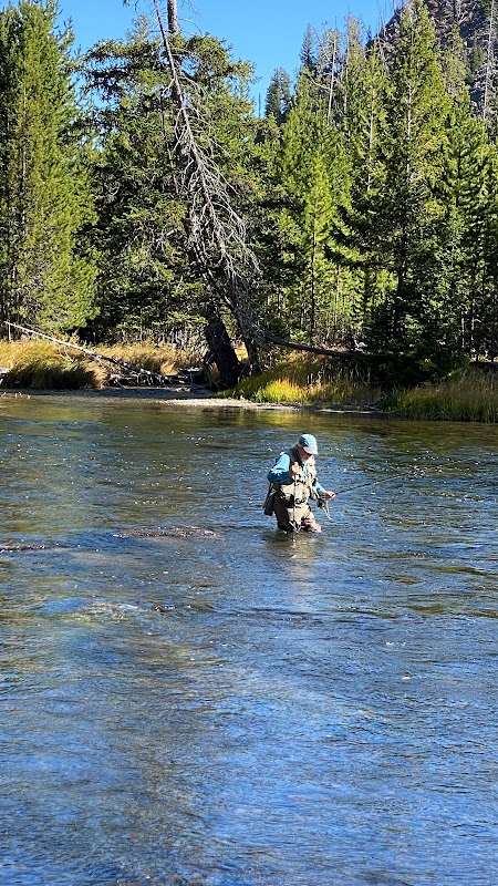 Exploring the Madison River for Fly Fishing surrounding landscape