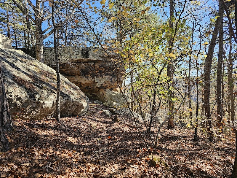 Hiking the Pedestal Rocks Loop in Ozark National Forest, Arkansas surrounding landscape