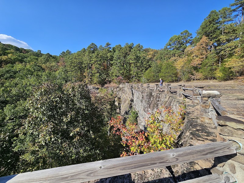 Hiking the Pedestal Rocks Loop in Ozark National Forest, Arkansas outdoor detail
