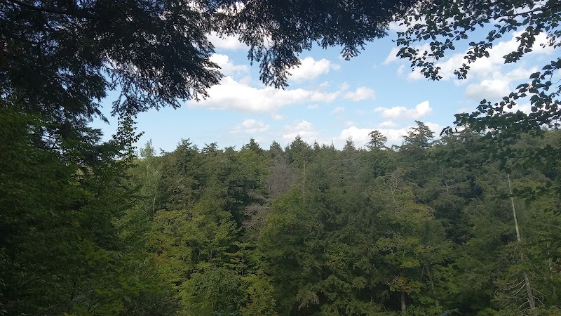 Hiking the South Boundary Road Trails surrounding landscape