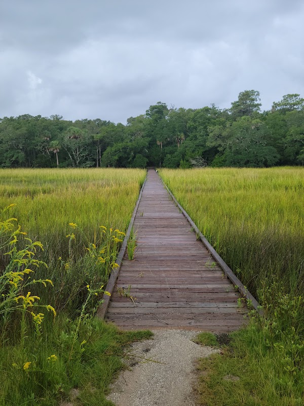 Trails of Tranquility: Hiking at Edisto Beach State Park - Charleston