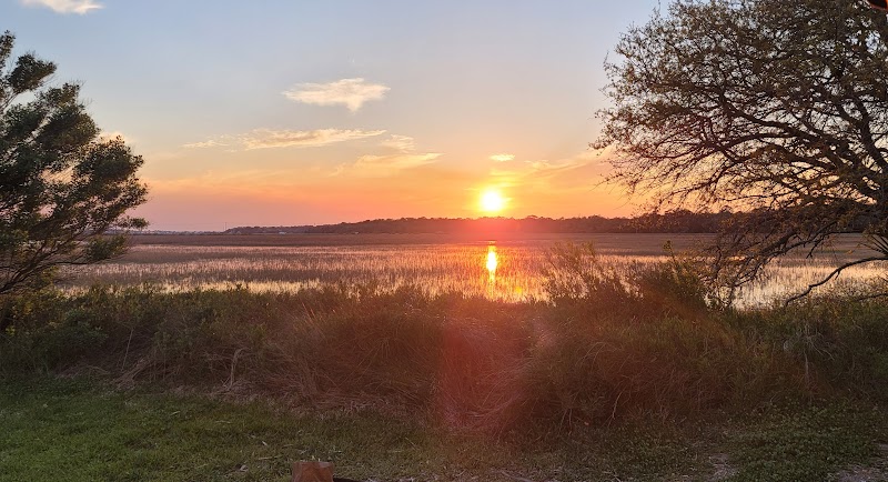 Trails of Tranquility: Hiking at Edisto Beach State Park - Charleston
