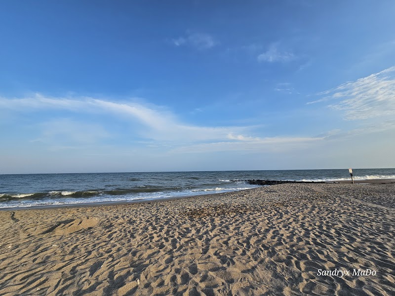 Trails of Tranquility: Hiking at Edisto Beach State Park surrounding landscape