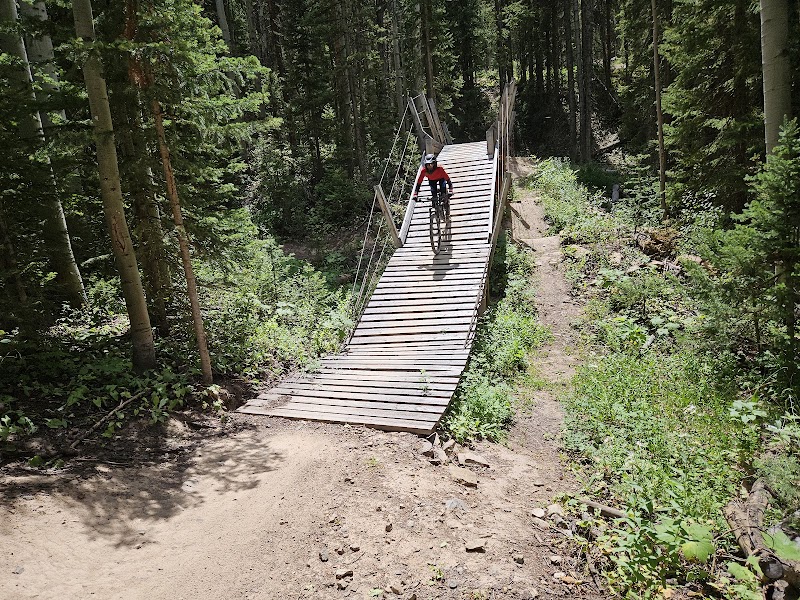 Mountain Biking the Cozyline Trail  outdoor detail