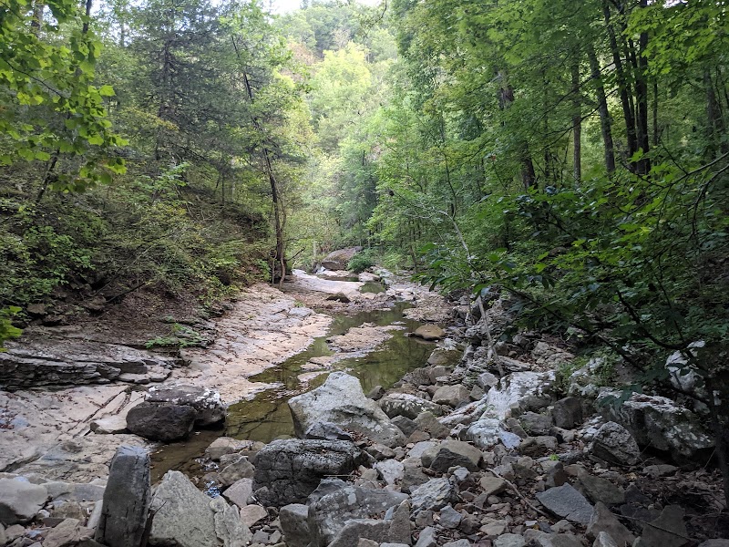 Visiting the Twin Falls of Richland Creek in Ozark National Forest, Arkansas surrounding landscape