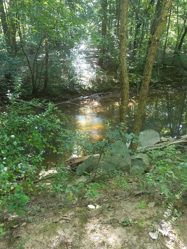 Mallard Creek Greenway: Charlotte’s Wild Side, Just Minutes Away - Charlotte