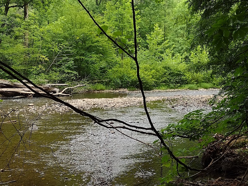 Abrams Creek Campground in Knoxville surrounding landscape