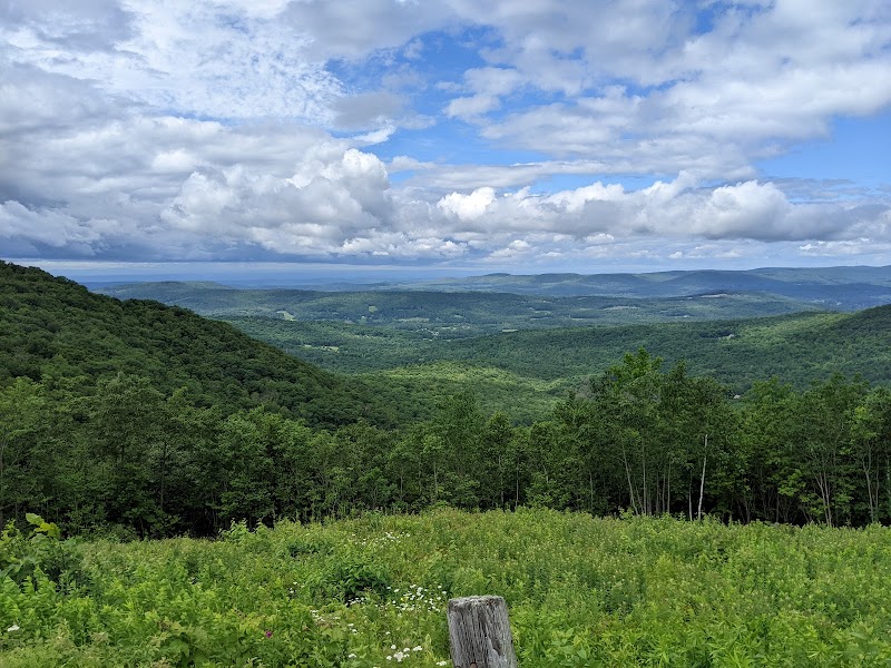 Running the Pittsfield State Forest Trails in The Berkshires surrounding landscape