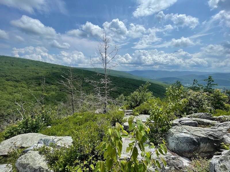 Hiking the Pine Cobble Trail in The Berkshires - 131-1 Pine Cobble Rd