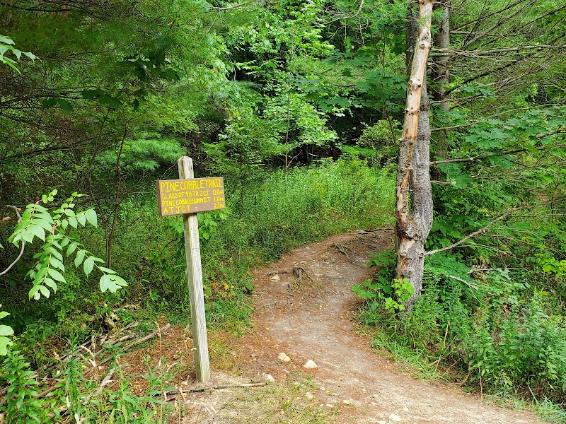 Hiking the Pine Cobble Trail in The Berkshires - 131-1 Pine Cobble Rd