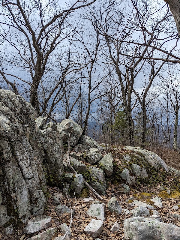 Hiking the Pine Cobble Trail in The Berkshires surrounding landscape