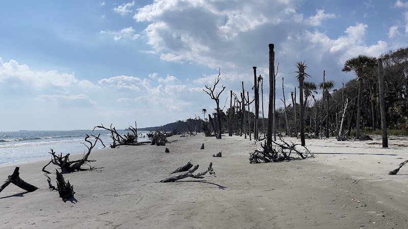  Into the Wild: Paddling to Capers Island, South Carolina - Charleston