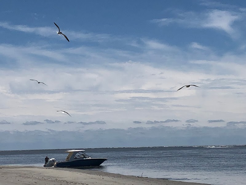  Into the Wild: Paddling to Capers Island, South Carolina surrounding landscape