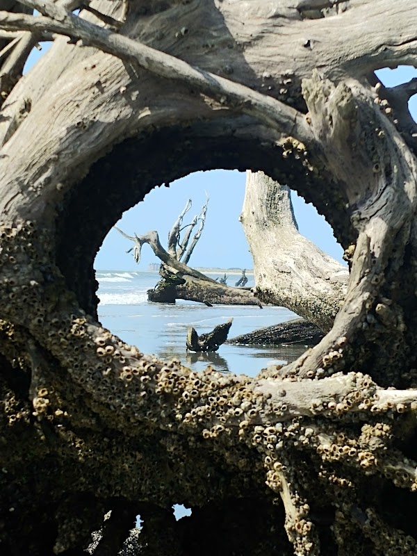  Into the Wild: Paddling to Capers Island, South Carolina outdoor detail