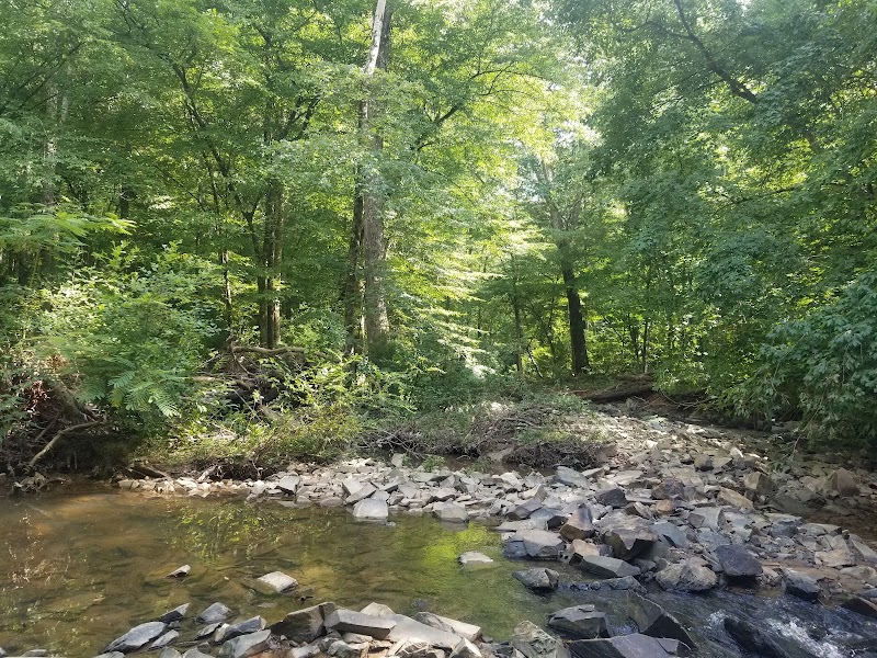 Campbell Creek Greenway: Running Through Charlotte’s Secret Wilderness surrounding landscape