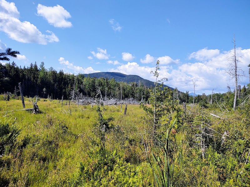 Hiking the Hurricane Mountain Trail: A Summit with Stunning Views  surrounding landscape