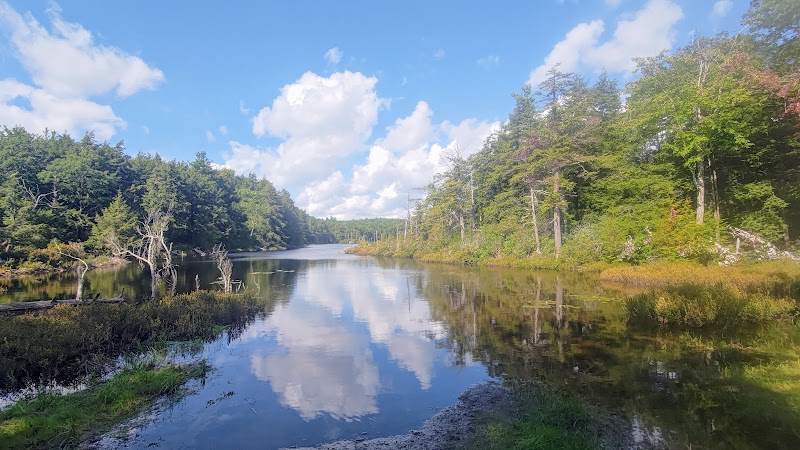 Hike to Mount Everett via Appalachian Trail in The Berkshires - The Berkshires