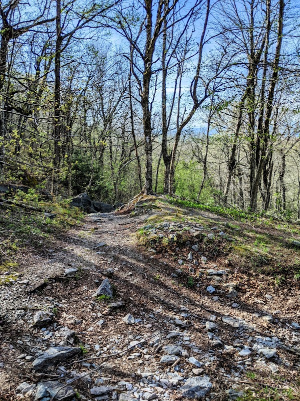 Hike to Mount Everett via Appalachian Trail in The Berkshires outdoor detail