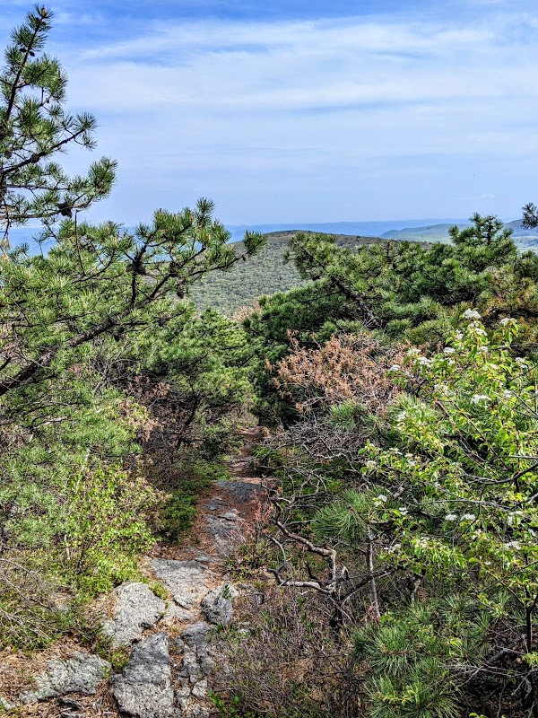 Hike to Mount Everett via Appalachian Trail in The Berkshires surrounding landscape