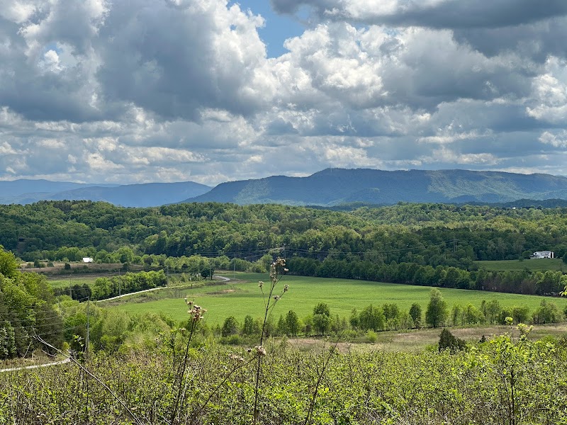 Seven Islands State Birding Park adventures