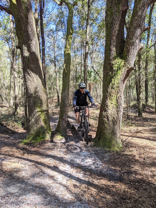 Mountain Biking at Santos near Palm Coast surrounding landscape
