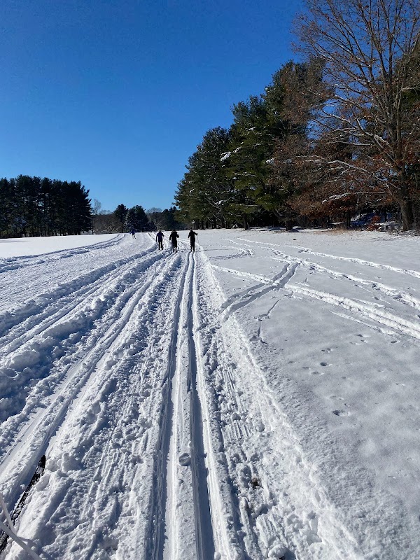 Cross-Country Skiing in Weston Ski Track near Boston outdoor detail