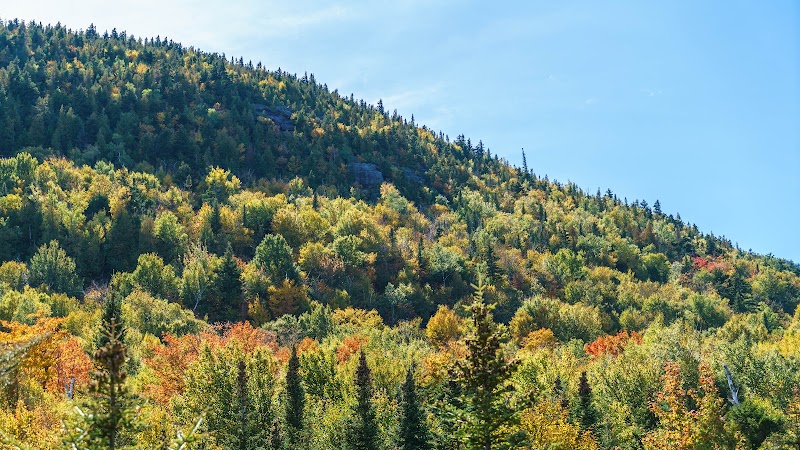 Take in the View from Whiteface Summit via Toll Road in Lake Placid - Lake Placid