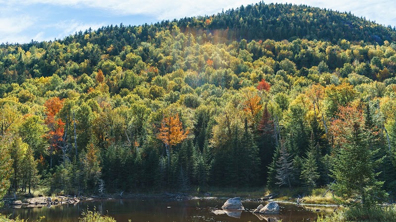 Take in the View from Whiteface Summit via Toll Road in Lake Placid - Lake Placid