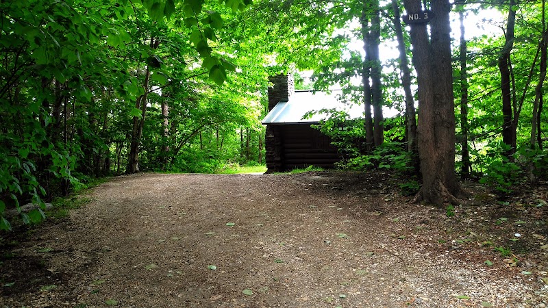 Mountain Biking at Savoy Mountain State Forest Trails in The Berkshires - The Berkshires