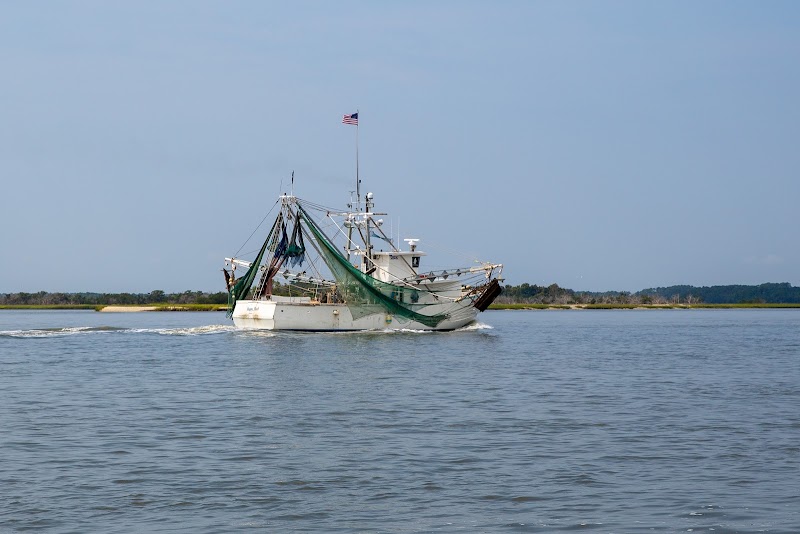 Serenity in the Salt Marsh: Paddle Bohicket Creek - Charleston