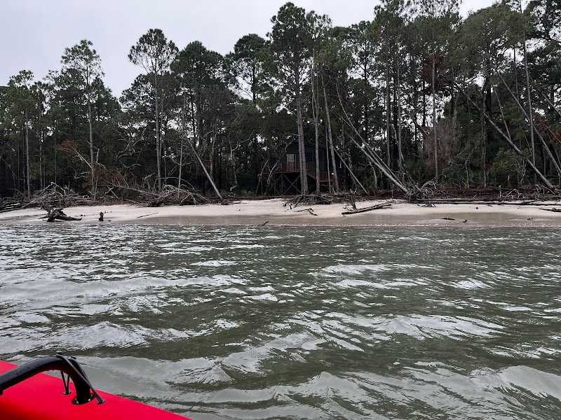 Serenity in the Salt Marsh: Paddle Bohicket Creek - Charleston