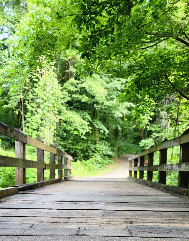 Explore the Third Creek Greenway in Knoxville, Tennessee - Knoxville