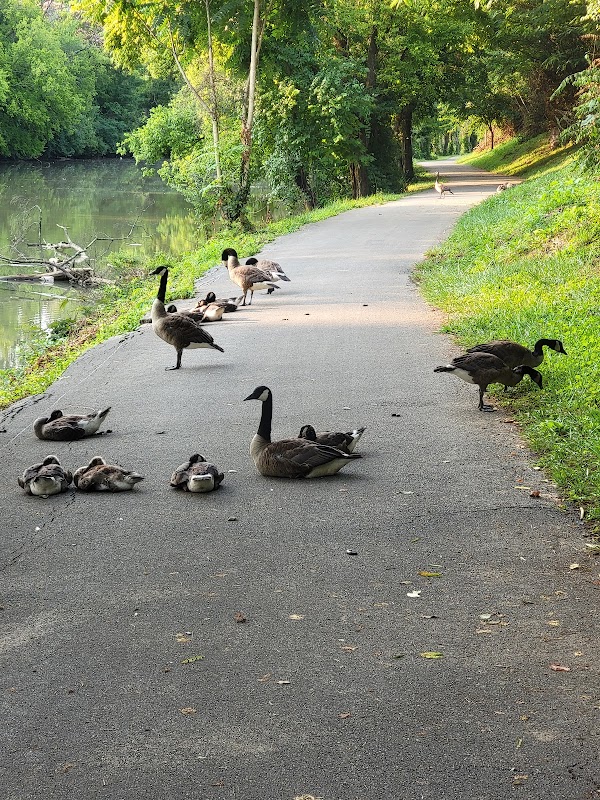 Explore the Third Creek Greenway in Knoxville, Tennessee - Knoxville