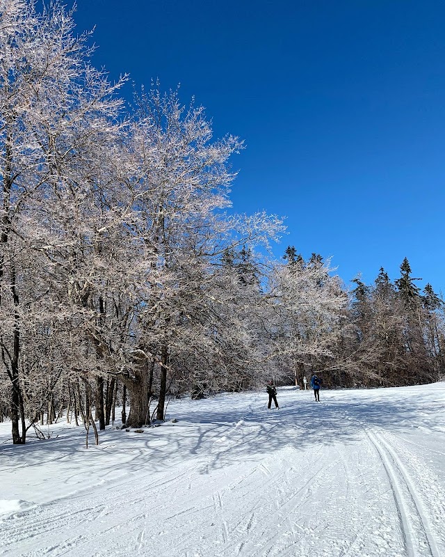 Winter Activities at Notchview in The Berkshires - The Berkshires