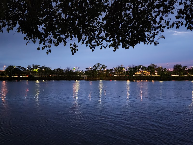 Fishing Spots along the Charles River in Boston - Boston