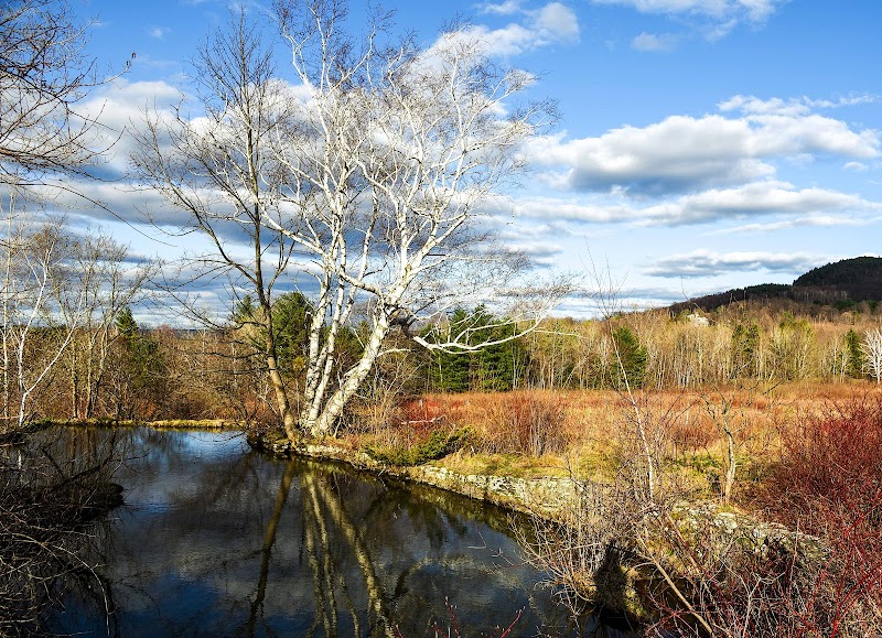 Hiking the Jug End Loop Trail in The Berkshires - Egremont