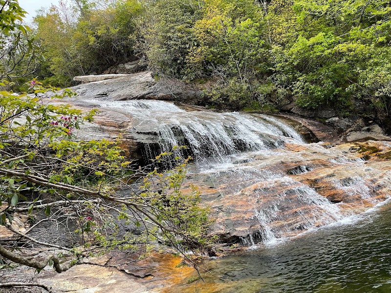 Graveyard Fields Loop Trail, Blue Ridge Parkway - Graveyard Fields Loop Trail