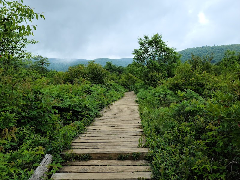 Graveyard Fields Loop Trail, Blue Ridge Parkway - Graveyard Fields Loop Trail