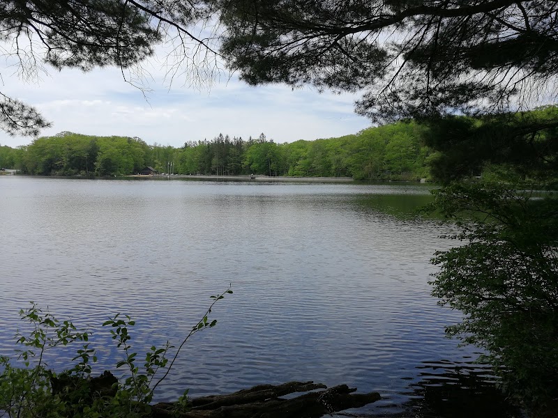 Running the Beartown State Forest Trails in The Berkshires surrounding landscape
