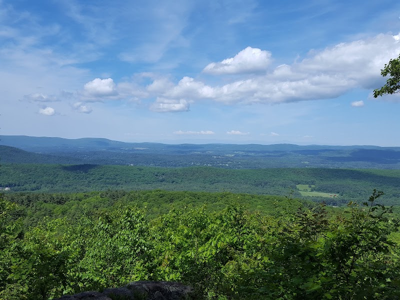 Hiking the Beartown State Forest Trails in The Berkshires - 356-372 Blue Hill Rd