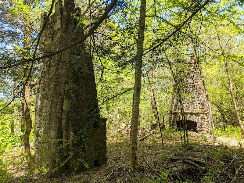 Hiking the Beartown State Forest Trails in The Berkshires surrounding landscape