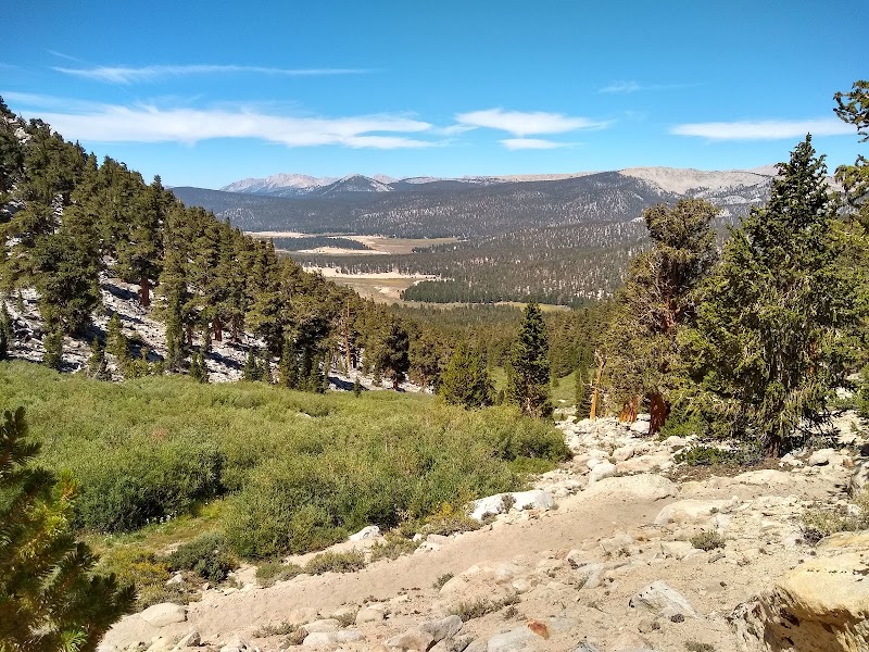 Golden Trout Wilderness - Golden Trout Wilderness