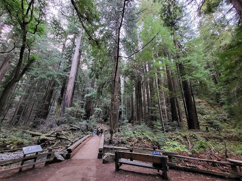 Muir Woods National Monument surrounding landscape
