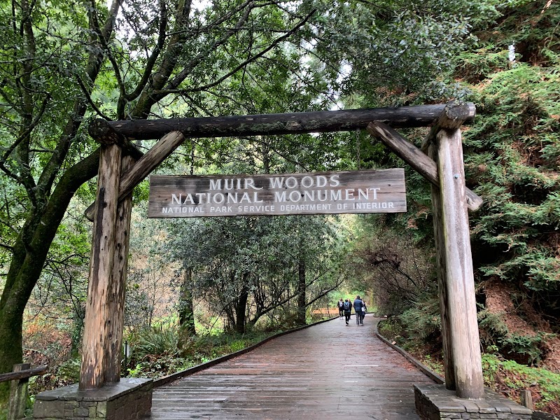 Muir Woods National Monument - Muir Woods National Monument