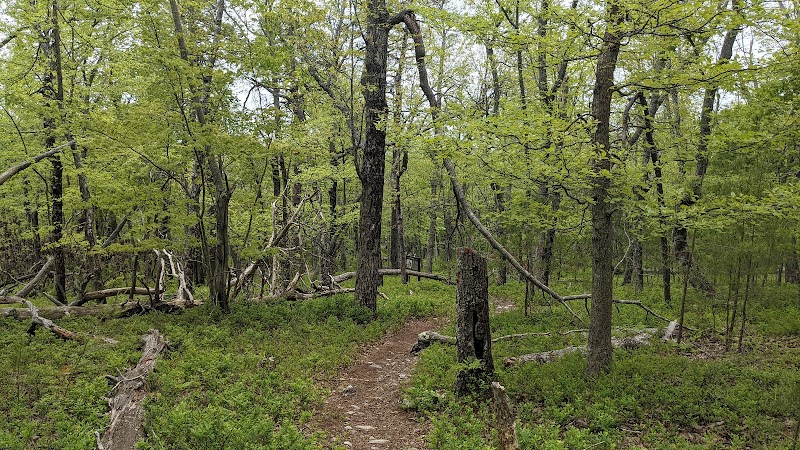 Cheaha Mountain - Cheaha Mountain