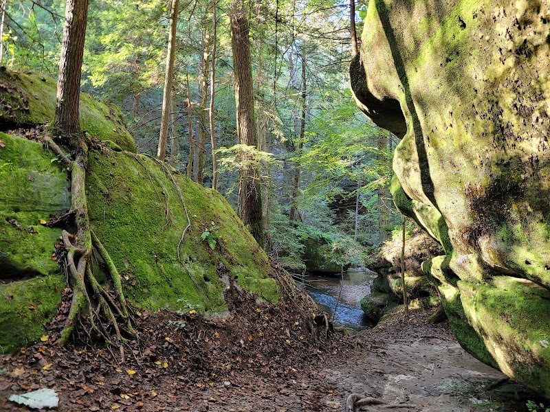 Dismals Canyon outdoor detail