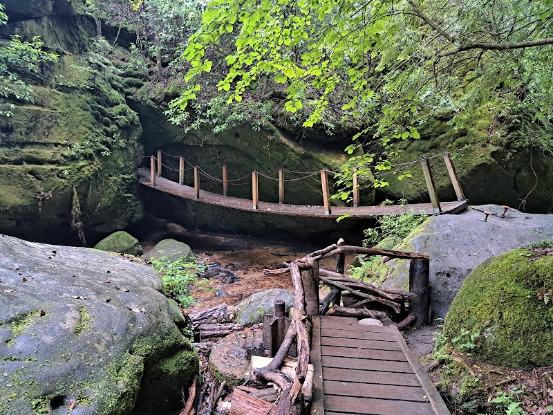 Dismals Canyon surrounding landscape