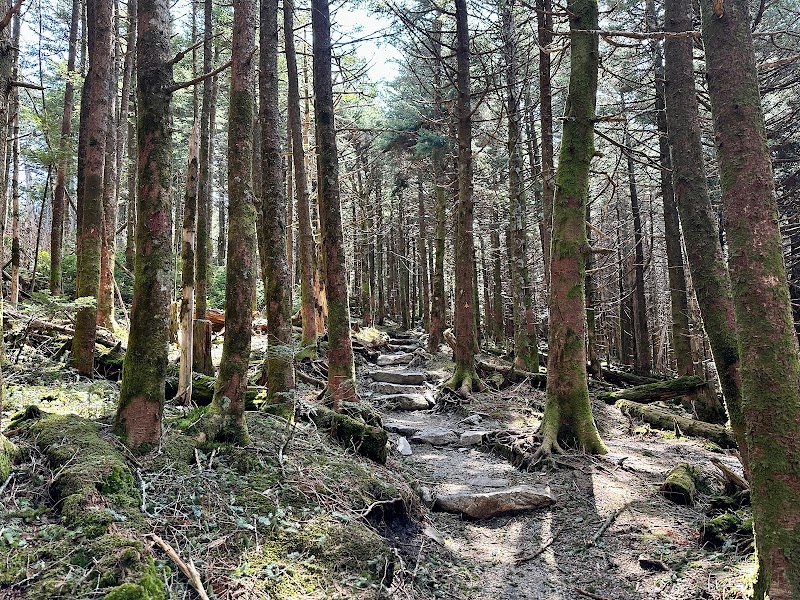 Mount Craig: The Majestic High Point of the Appalachians - Mount Craig