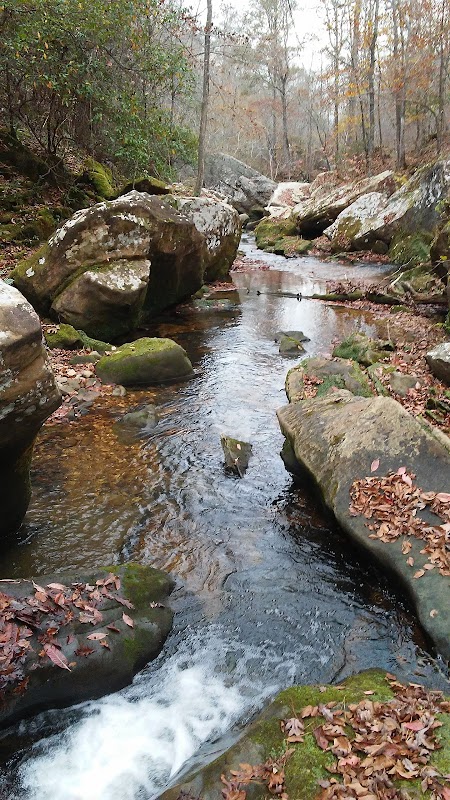Cane Creek Canyon Nature Preserve - Cane Creek Canyon Nature Preserve